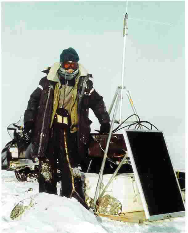 Wolf in arctic.jpg (22219 bytes)