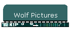Wolf Pictures